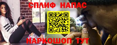 гашик Пугачёв